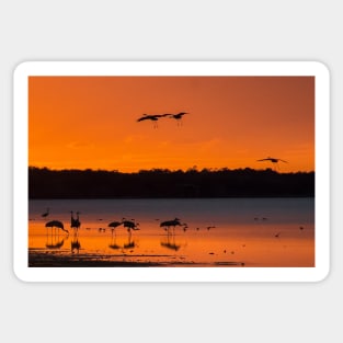 Sandhill cranes arriving Sticker